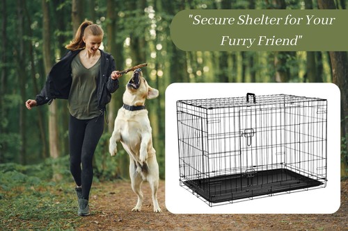 Dog cage pet - dog, metal