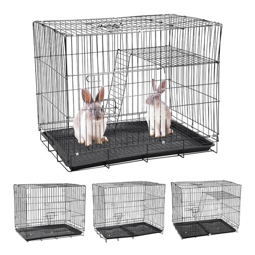 Dog cage puppy training - dog,