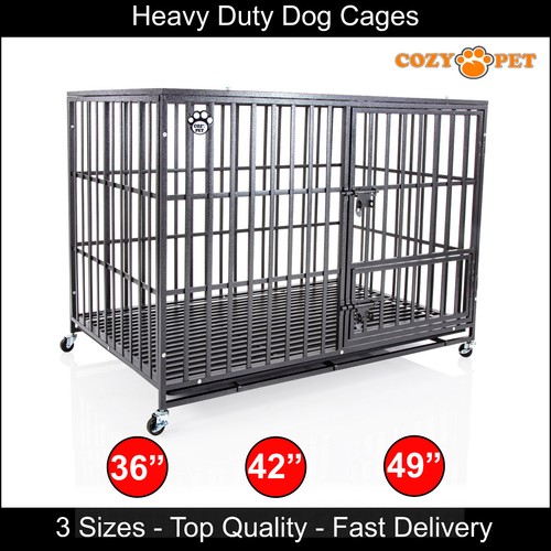 Heavy duty dog - heavy, cozy