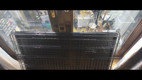 Dog crate - dog,