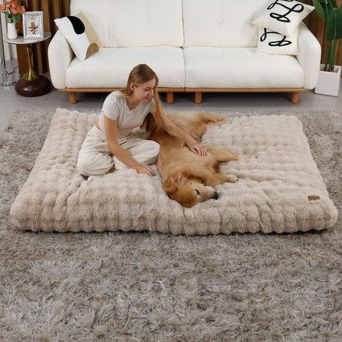 Dog bed soft - dog, pet