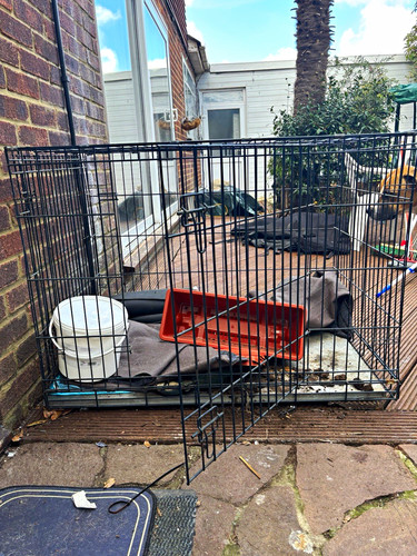 Black steel wire dog crate - steel,