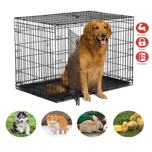Dog cage puppy - dog, pet