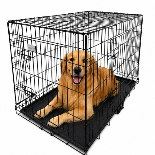 Dog cage crate puppy - dog, training