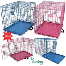 Pink Blue Dog Cage Puppy Metal