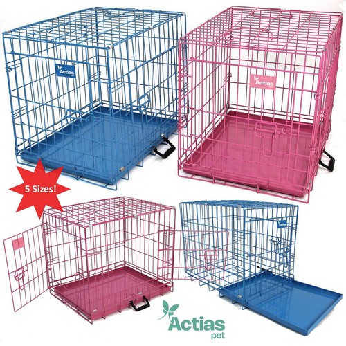 Pink blue dog - blue, metal