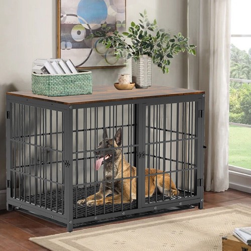 Separation anxiety reduce - separation,